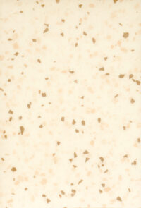 Traffic 250 vinyl — Terrazzo Matera Clay